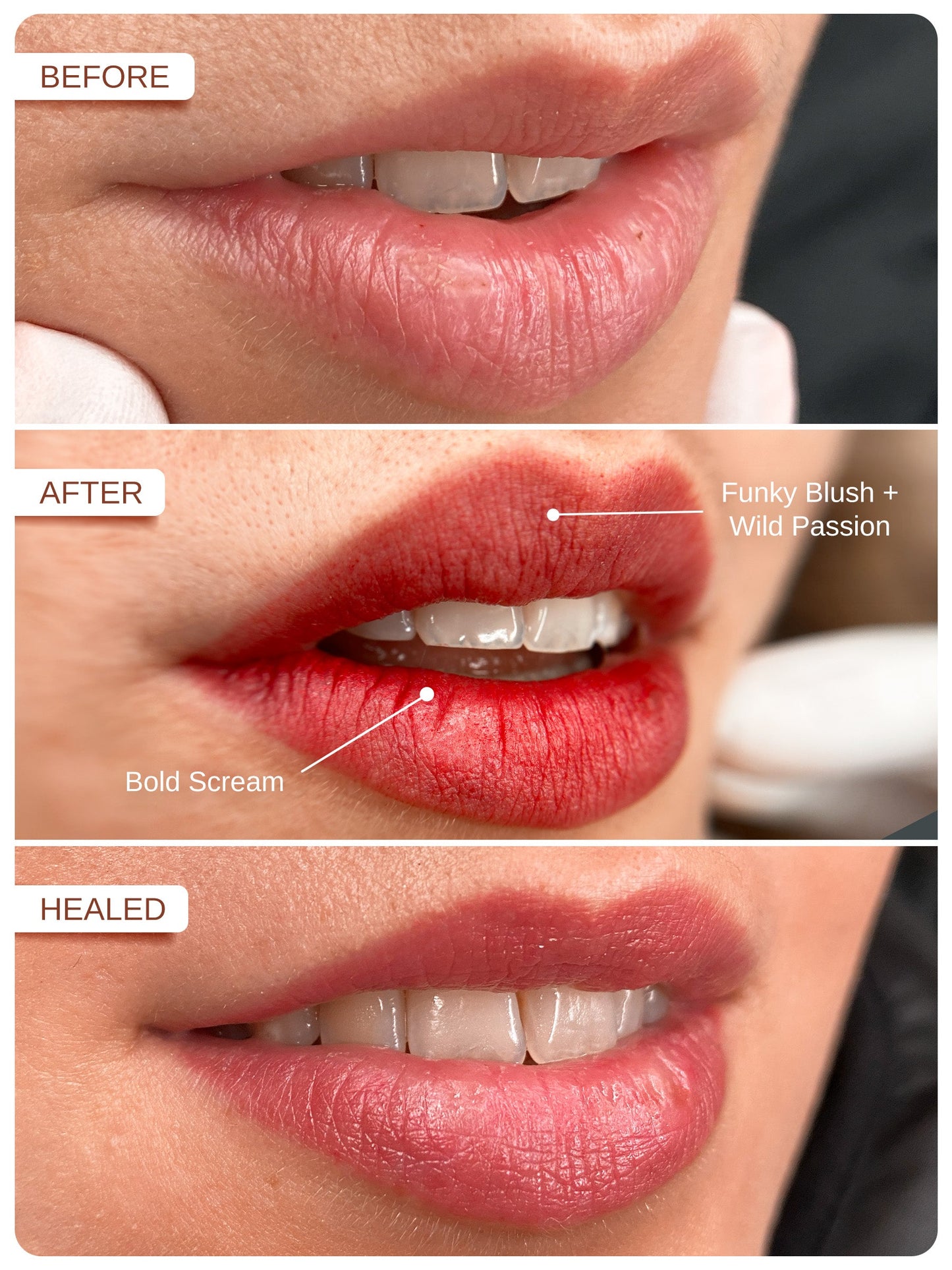 Phi Funky Blush PMU Mix Shader Pigment
