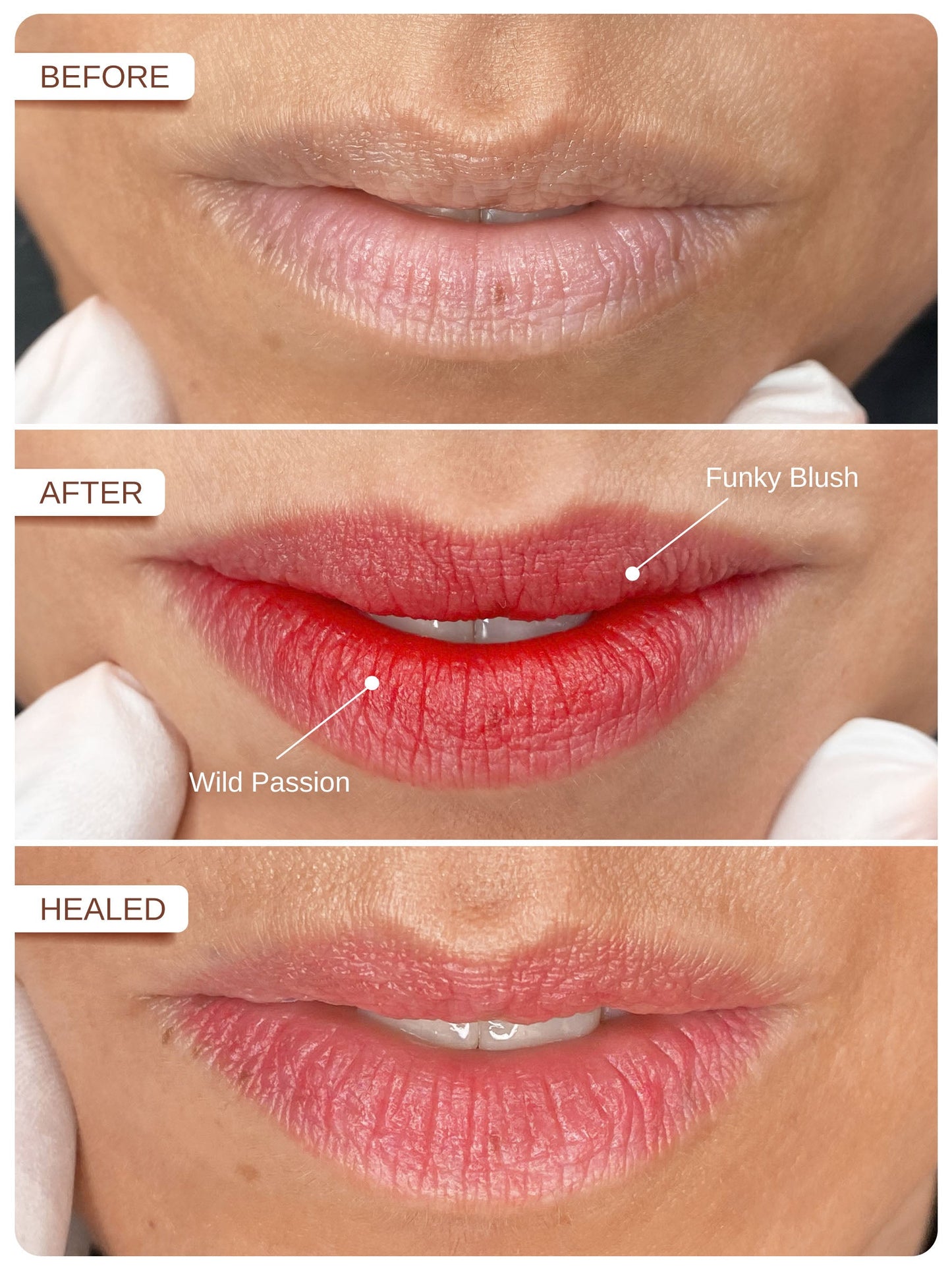 Phi Funky Blush PMU Mix Shader Pigment